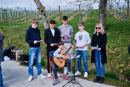 Rez potomke Sˇkalce 26